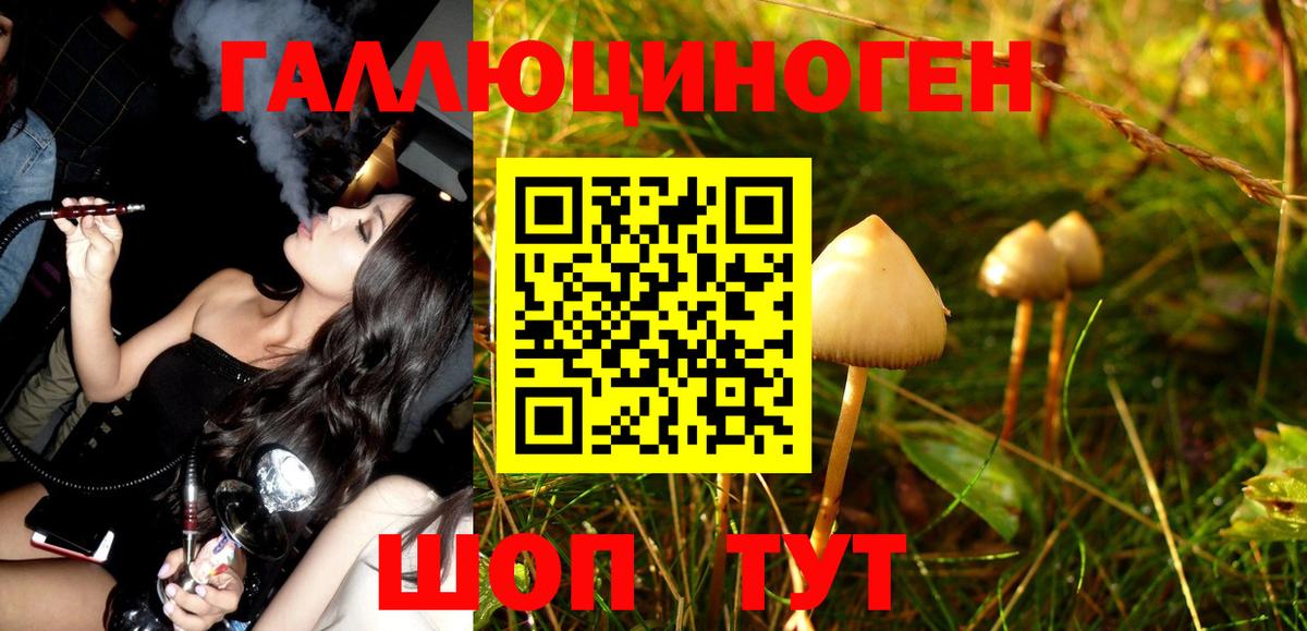 Галлюциногенные грибы Magic Shrooms  Вход с VPN  Псилоцибиновые грибы Psilocybe  как найти закладки  Луховицы 